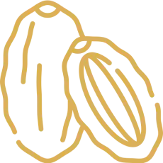 nutrient icon