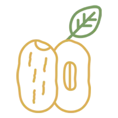 fresh dates icon