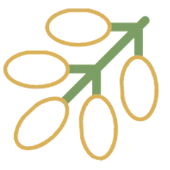 hand picked dates icon